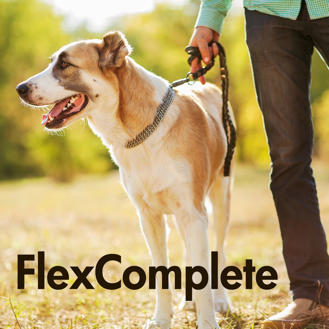 FlexComplete Liquid Vegetarian Glucosamine for Dogs - Joint Health and Mobility Support with Vegetarian Formula to Keep Pet Active and Healthy - for Small and Larde Dogs- Formulated in The USA