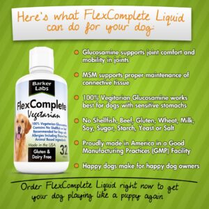 FlexComplete Liquid Vegetarian Glucosamine for Dogs - Joint Health and Mobility Support with Vegetarian Formula to Keep Pet Active and Healthy - for Small and Larde Dogs- Formulated in The USA