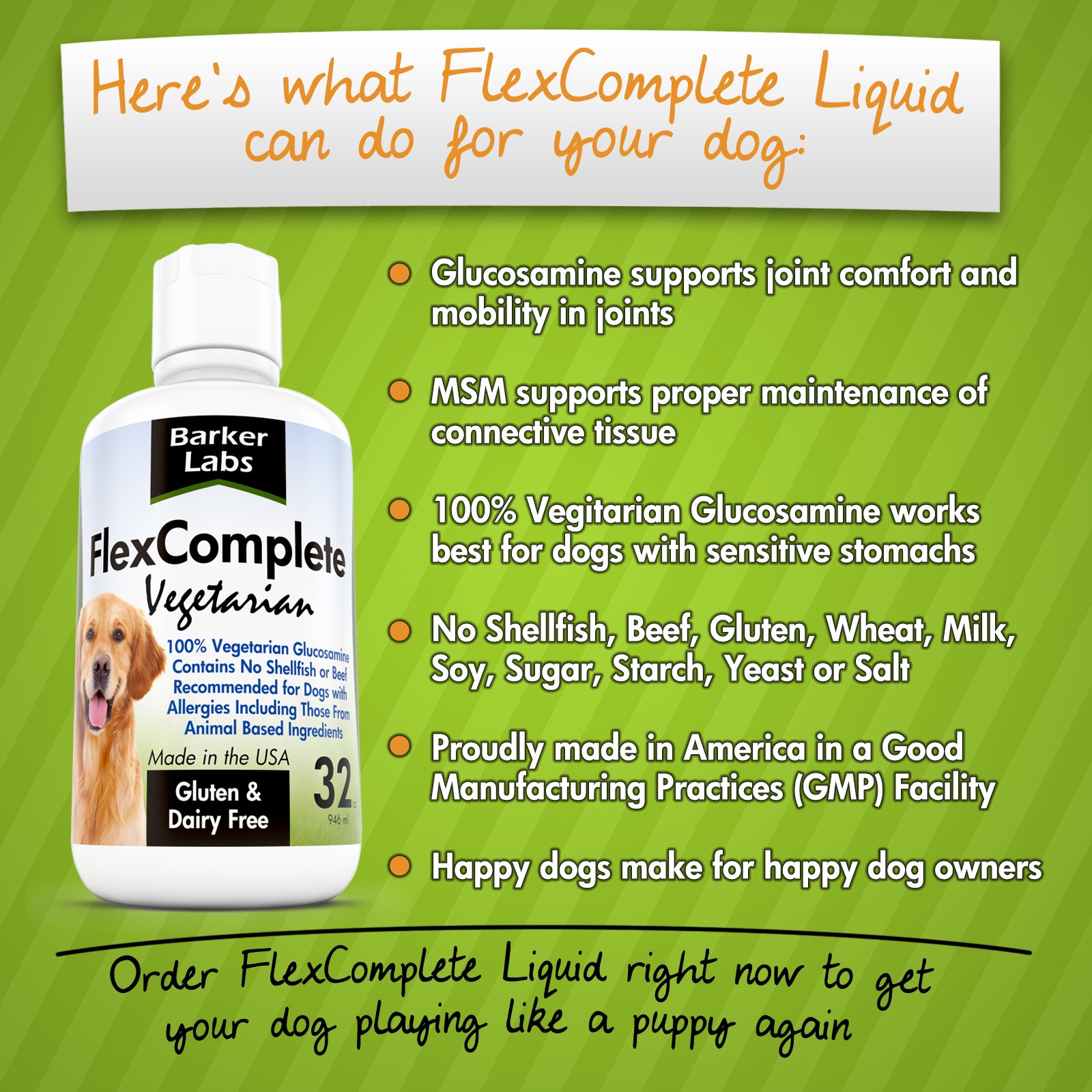 FlexComplete Liquid Vegetarian Glucosamine for Dogs - Joint Health and Mobility Support with Vegetarian Formula to Keep Pet Active and Healthy - for Small and Larde Dogs- Formulated in The USA