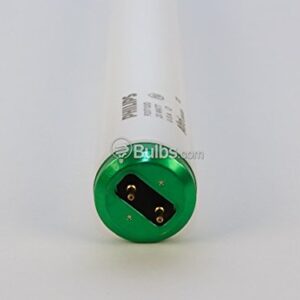 Philips 20W 24in T12 Daylight White Fluorescent Tube