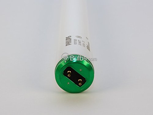 Philips 20W 24in T12 Daylight White Fluorescent Tube