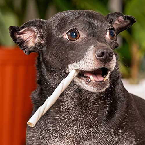 Pet Factory American Beefhide 5" Twist Sticks Dog Chew Treats - Natural Flavor, 10 Count/1 Pack