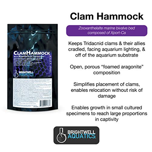 Brightwell Aquatics Clam Hammock - Zooxanthellate Marine Bivalve Bed Composed of Xport-Ca