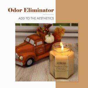 Smoke and Odor Eliminator Candle - Odor Eliminating Scented Candles for Home - Neutralizes Cigarette, Food, and Pet Smells | Natural Soy Wax Candle, Hand Poured in The USA