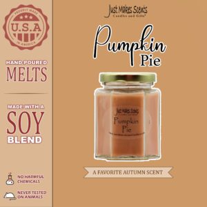 Pumpkin Pie Scented Blended Soy Candle | Hand Poured Fall Fragrance Candles | Made in The USA by Just Makes Scents