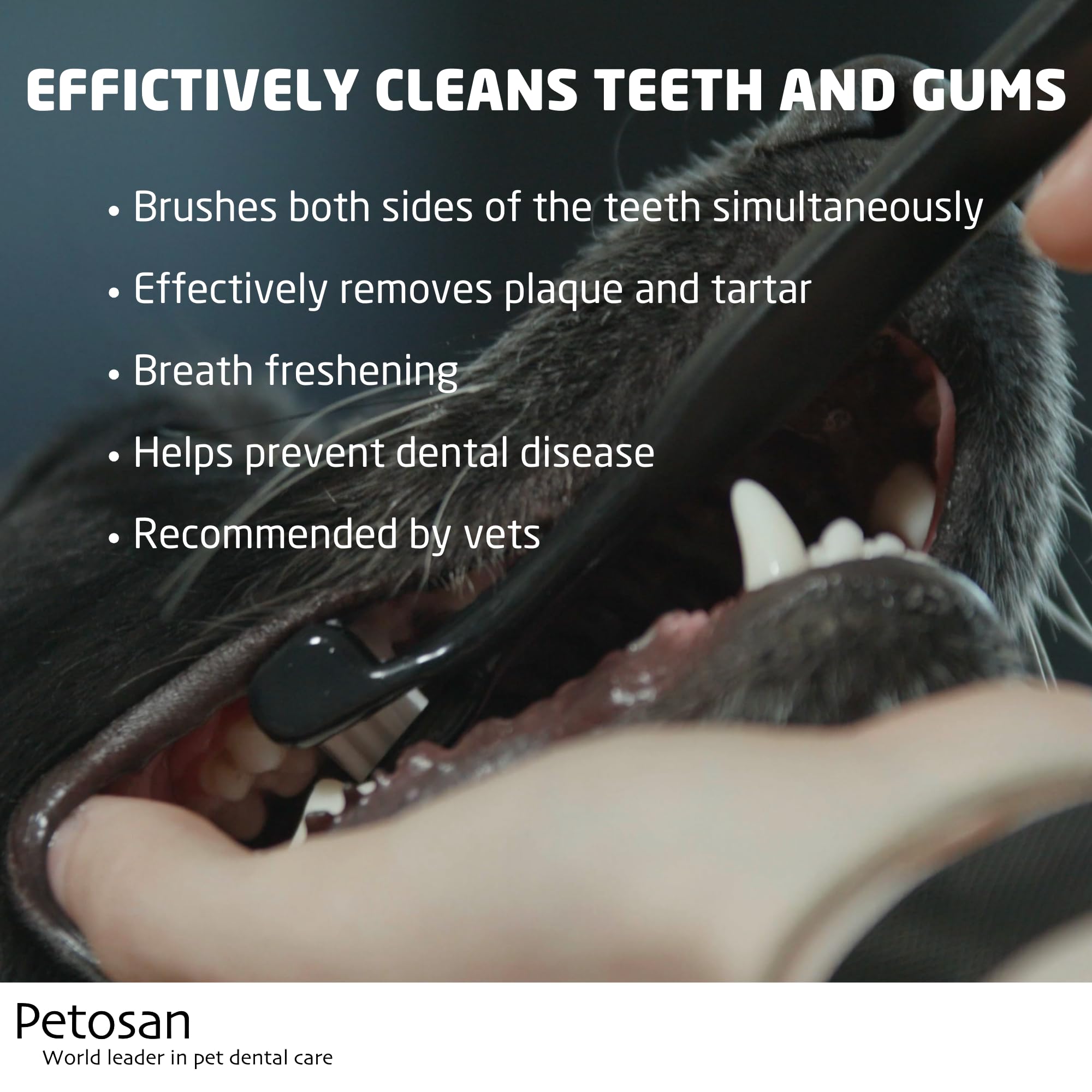 Petosan Complete Dental Kit for Dogs with Toothbrush, Toothpaste and Microfiber Cleaner, for Large Dogs, 35+ lbs