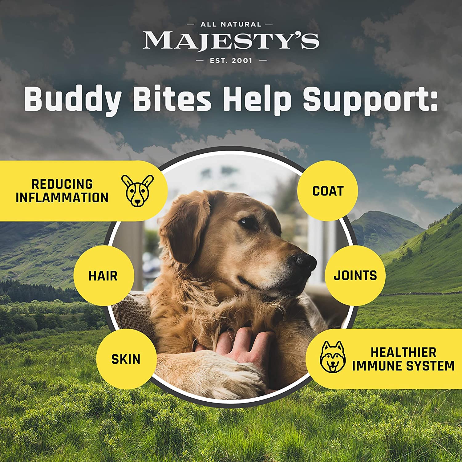 Majesty's Grain-Free Buddy Bites Skin and Coat Wafers for Medium / Large Dogs - Superior Skin, Coat, and Immune Support Supplement - Carob and Sweet Potato Flavored - 56 Count (Up To 8 Week Supply)