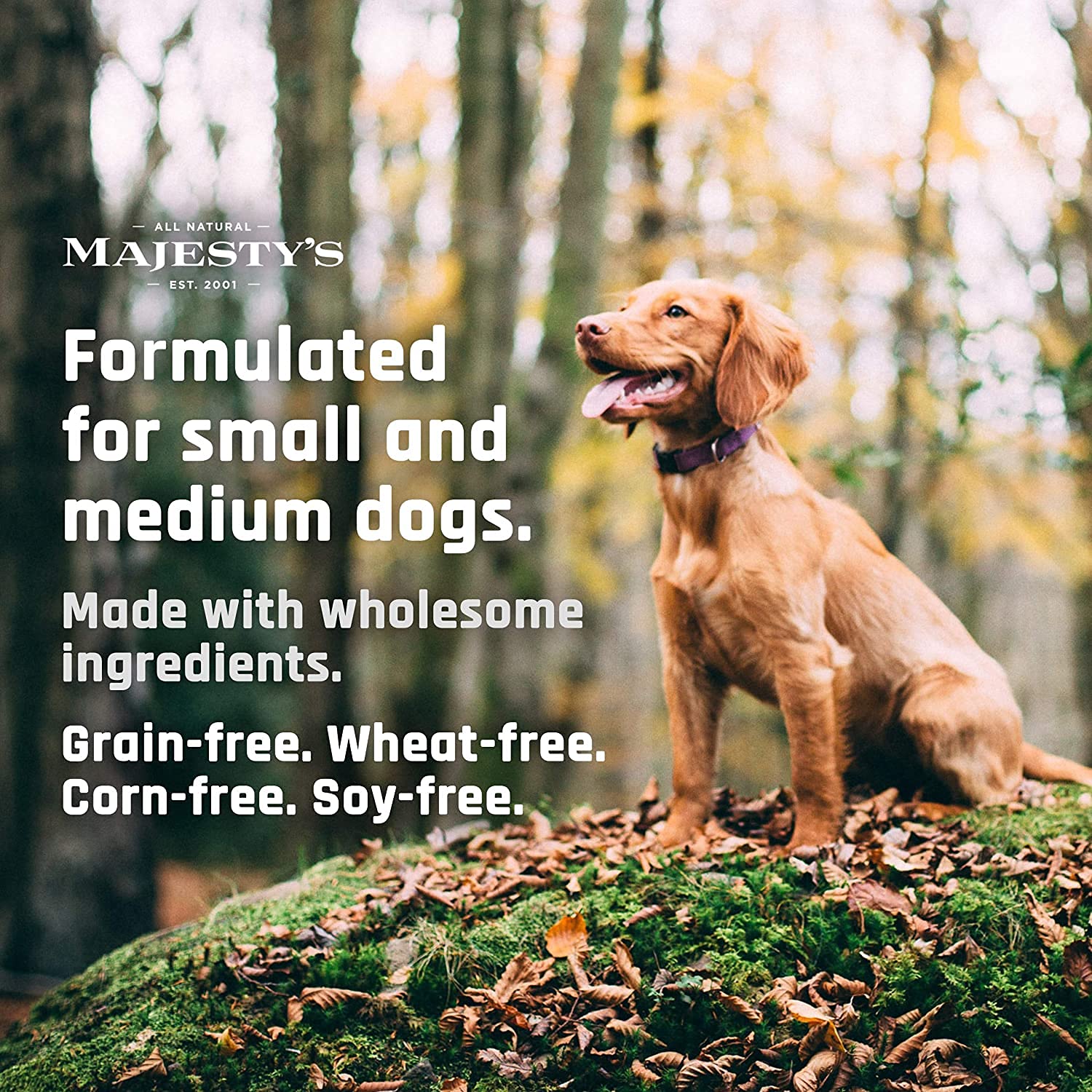 Majesty's Grain-Free Buddy Bites Skin and Coat Wafers for Medium / Large Dogs - Superior Skin, Coat, and Immune Support Supplement - Carob and Sweet Potato Flavored - 56 Count (Up To 8 Week Supply)