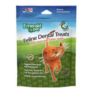 feline dental treats — tasty and crunchy cat dental treats grain free — natural dental treats to clean cat teeth, freshen cat breath, and reduce plaque and tartar buildup — catnip treats, 3 oz