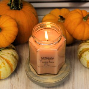 Pumpkin Pie Scented Blended Soy Candle | Hand Poured Fall Fragrance Candles | Made in The USA by Just Makes Scents