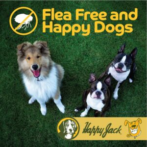 Happy Jack Flea and Tick Powder for Dogs & Puppies, Flea Powder for Carpets, Flea Treatment & Control, Kills Fleas, Ticks & Lice, Odorless & Non-Staining, Dust on Sleeping Quarters & Furniture (5 oz)