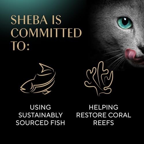 Sheba Perfect Portions Wet Cat Food Pate Tender White Fish and Tuna Entree, 2.6 oz. Twin-Pack Trays (24 Count, 48 Servings)