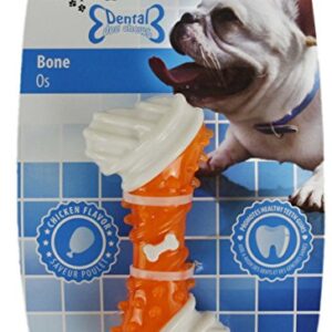 All for Paws Dental Bone