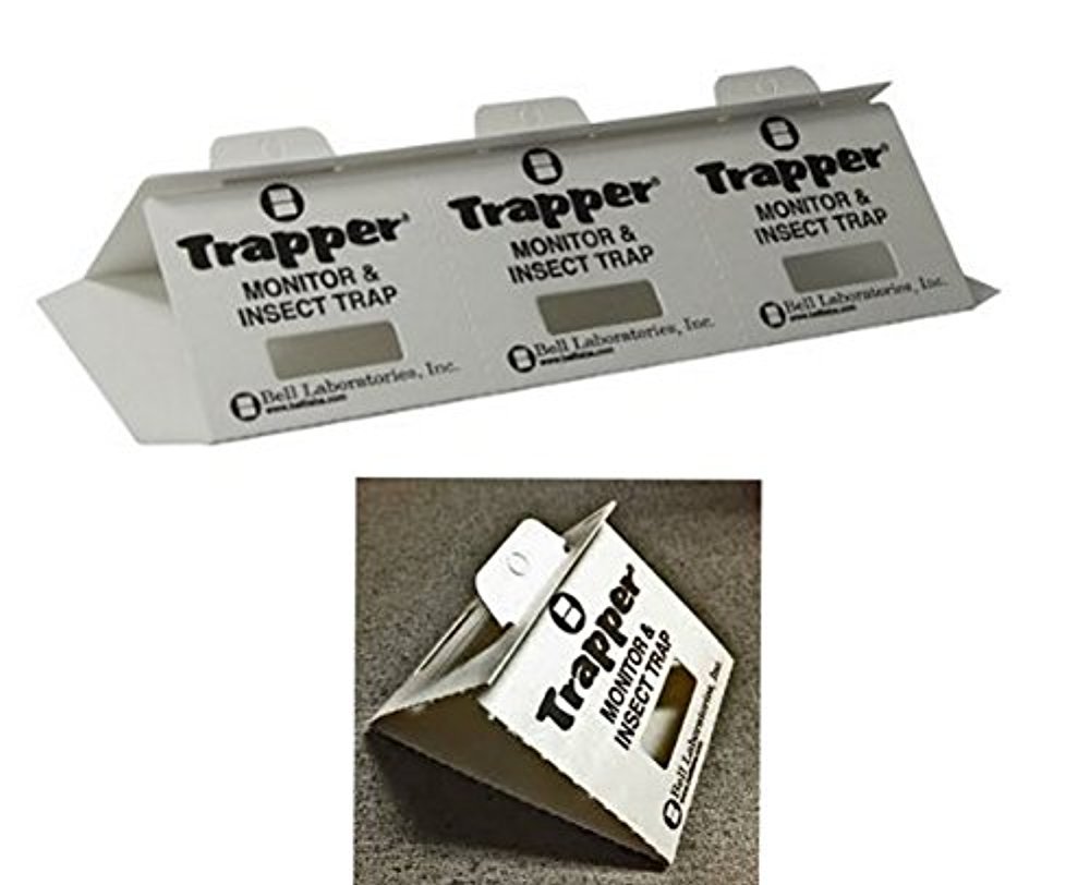 ALAZCO Trapper Insect Trap (Great for Bed Bugs, Spiders, Cockroaches) - 10 Large Boards or can be Used as 30 Smaller Traps/Monitors