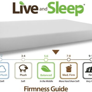 Live and Sleep - Resort Full Size 10-Inch Memory Foam Mattress in a Box - Medium Firm for Better Comfort, CertiPur Certified (Full)