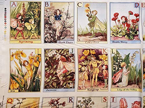 Alphabet Panel Flower Fairy ABC Fabric Michael Miller - 24 Inch Panel