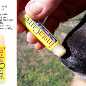 INSTACURE Original Nose Balm. Fast Relief for Cracked Dry & Sore Noses with Raw Manuka Honey Vitamin E Shea Butter Aloe Vera Oil. Heals Dog’s Dry Cracked Nose (1 Pack)