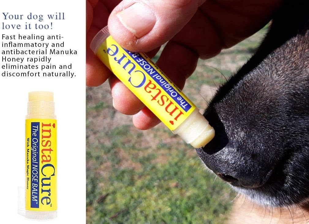 INSTACURE Original Nose Balm. Fast Relief for Cracked Dry & Sore Noses with Raw Manuka Honey Vitamin E Shea Butter Aloe Vera Oil. Heals Dog’s Dry Cracked Nose (1 Pack)