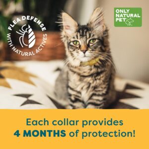 Only Natural Pet EasyDefense Flea & Tick Cat Collar - Feline Flea Collars Flea and Tick Control - Pet Flea Care That Protects up to 4 Months - for Cats (Single)