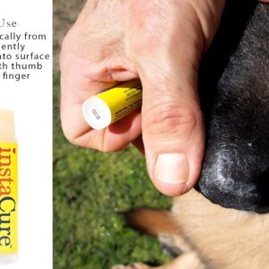 INSTACURE Original Nose Balm. Fast Relief for Cracked Dry & Sore Noses with Raw Manuka Honey Vitamin E Shea Butter Aloe Vera Oil. Heals Dog’s Dry Cracked Nose (1 Pack)