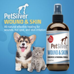 PetSilver Wound & Skin Spray - Chelated Silver, Superior to Colloidal Silver - Dog Wound Spray, Hot Spot, Allergy Relief for Dogs, Itch Spray for Cats - Natural Skin Soother - Made in USA - 8 fl oz