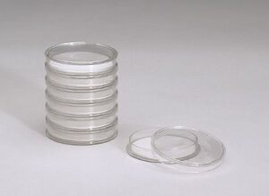 advantec 800101 petri dish with cellulose pads, 50 mm dia x 11 mm h, 100/pk