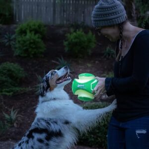 Chuckit! Kick Fetch Max Glow Ball, Large (8 Inch) Glow in the Dark Dog Toy