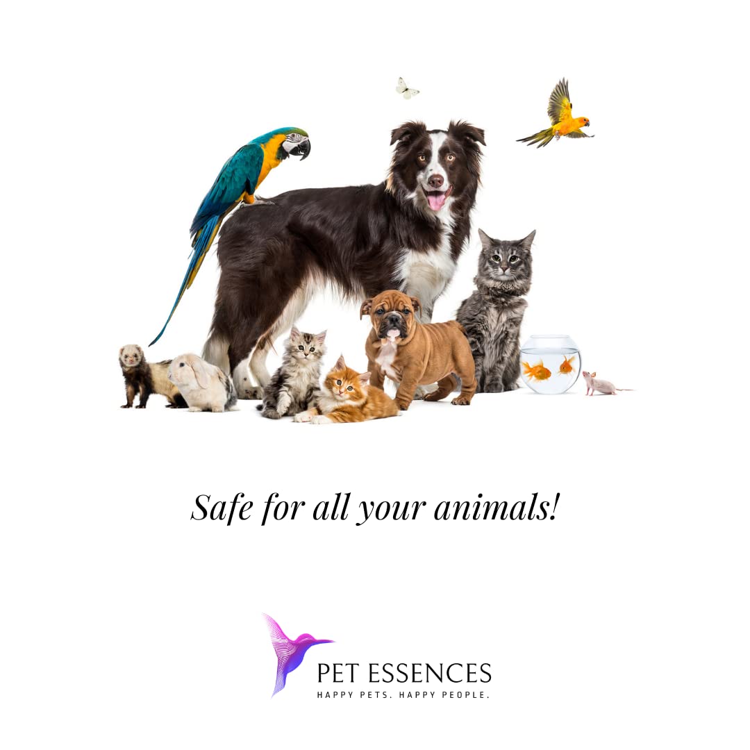 Pet Essences Anxiety and Fear for Dogs, Cats and Horses