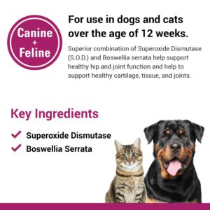 Vet Classics S.O.D. & Boswellia Joint Support for Dogs & Cats, Helps Maintain & Support Healthy Cartilage, Tissue & Joints, 150 Chewable Tablets