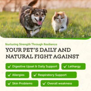 Animal Essentials Mushroom Defense - Immune System Support for Dogs & Cats, Natural Antioxidant, Mushrooms, For All Ages, Organic Herbs - 1 Fl Oz