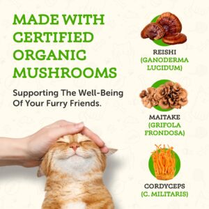 Animal Essentials Mushroom Defense - Immune System Support for Dogs & Cats, Natural Antioxidant, Mushrooms, For All Ages, Organic Herbs - 1 Fl Oz