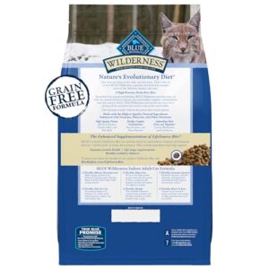 Blue Buffalo Wilderness Nature's Evolutionary Diet High-Protein, Grain-Free Natural Dry Food for Adult Cats, Chicken, 2-lb. Bag