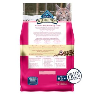 Blue Buffalo Wilderness Natural Adult Dry Cat Food, High-Protein and Grain-Free Diet, Supports Healthy Muscle Development and a Healthy Immune System, Salmon, 5-lb Bag