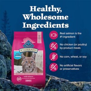 Blue Buffalo Wilderness Natural Adult Dry Cat Food, High-Protein and Grain-Free Diet, Supports Healthy Muscle Development and a Healthy Immune System, Salmon, 5-lb Bag