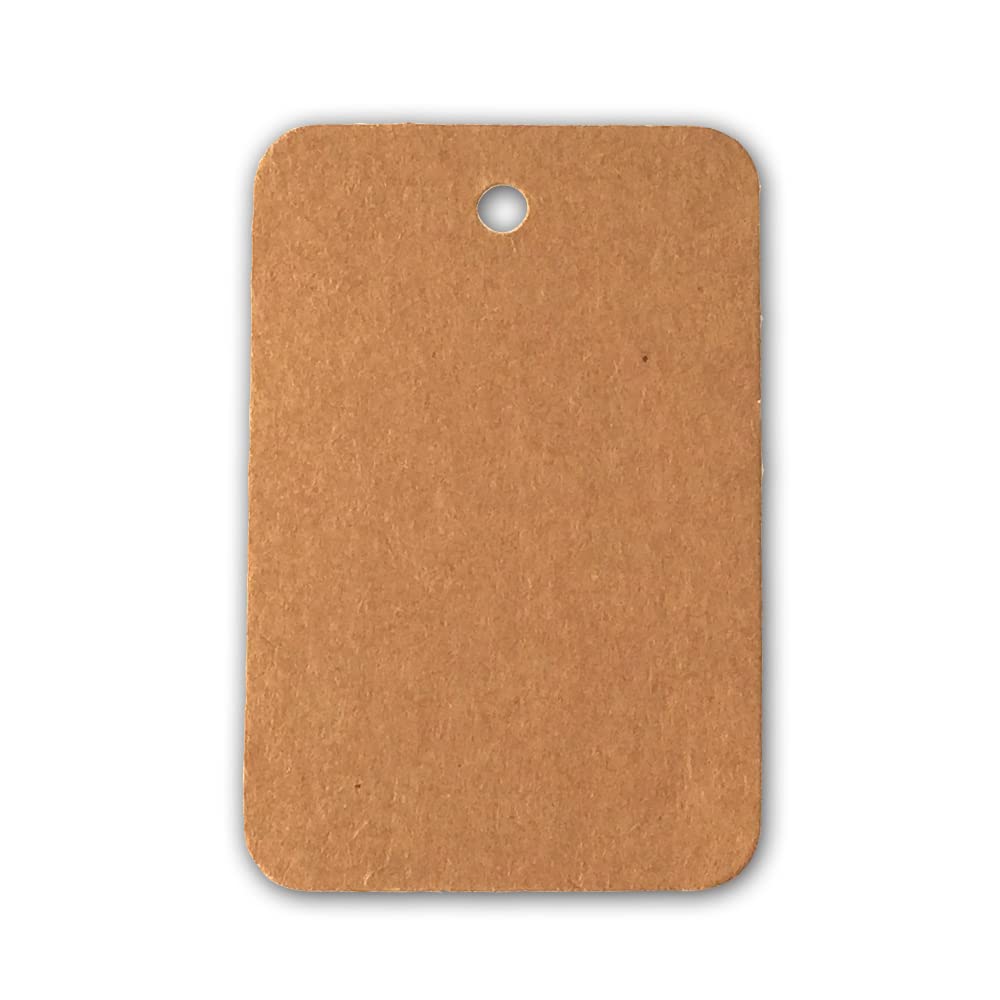 LWR CRAFTS 100 Hang Tags Rectangle with Jute Twines 100ft (2 3/8" x 1 9/16", Kraft)