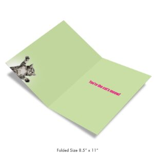 NobleWorks - Jumbo Thank You Card with Envelope (8.5 x 11 Inch), Animal Notecard, Thankful Friend - This Much Kitten J3612