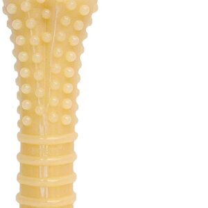 Nylabone Original Bone Dog Chew Toy [Set of 2] Size: Souper