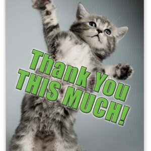 NobleWorks - Jumbo Thank You Card with Envelope (8.5 x 11 Inch), Animal Notecard, Thankful Friend - This Much Kitten J3612