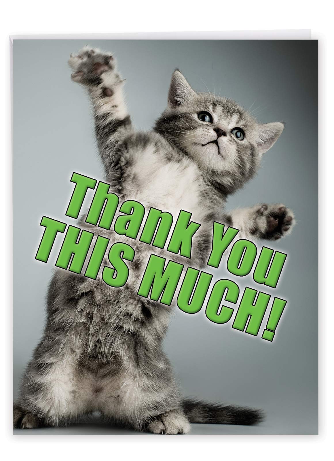 NobleWorks - Jumbo Thank You Card with Envelope (8.5 x 11 Inch), Animal Notecard, Thankful Friend - This Much Kitten J3612