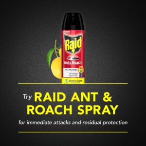 Raid Ant and Roach Killer, Lemon Scent, 17.5 OZ (Pack of 12)