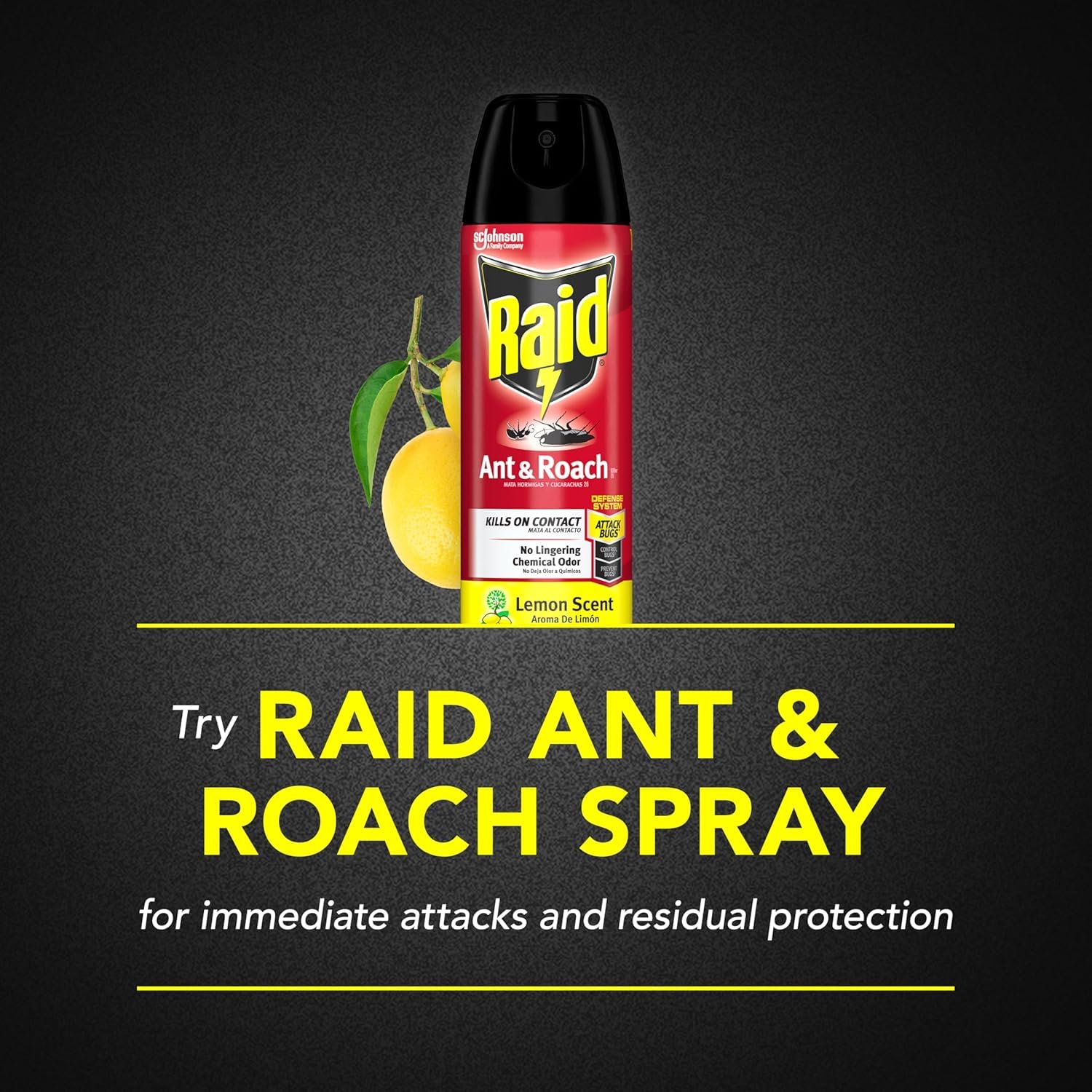 Raid Ant and Roach Killer, Lemon Scent, 17.5 OZ (Pack of 12)