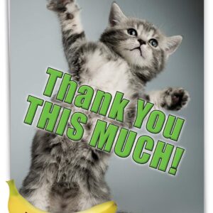 NobleWorks - Jumbo Thank You Card with Envelope (8.5 x 11 Inch), Animal Notecard, Thankful Friend - This Much Kitten J3612