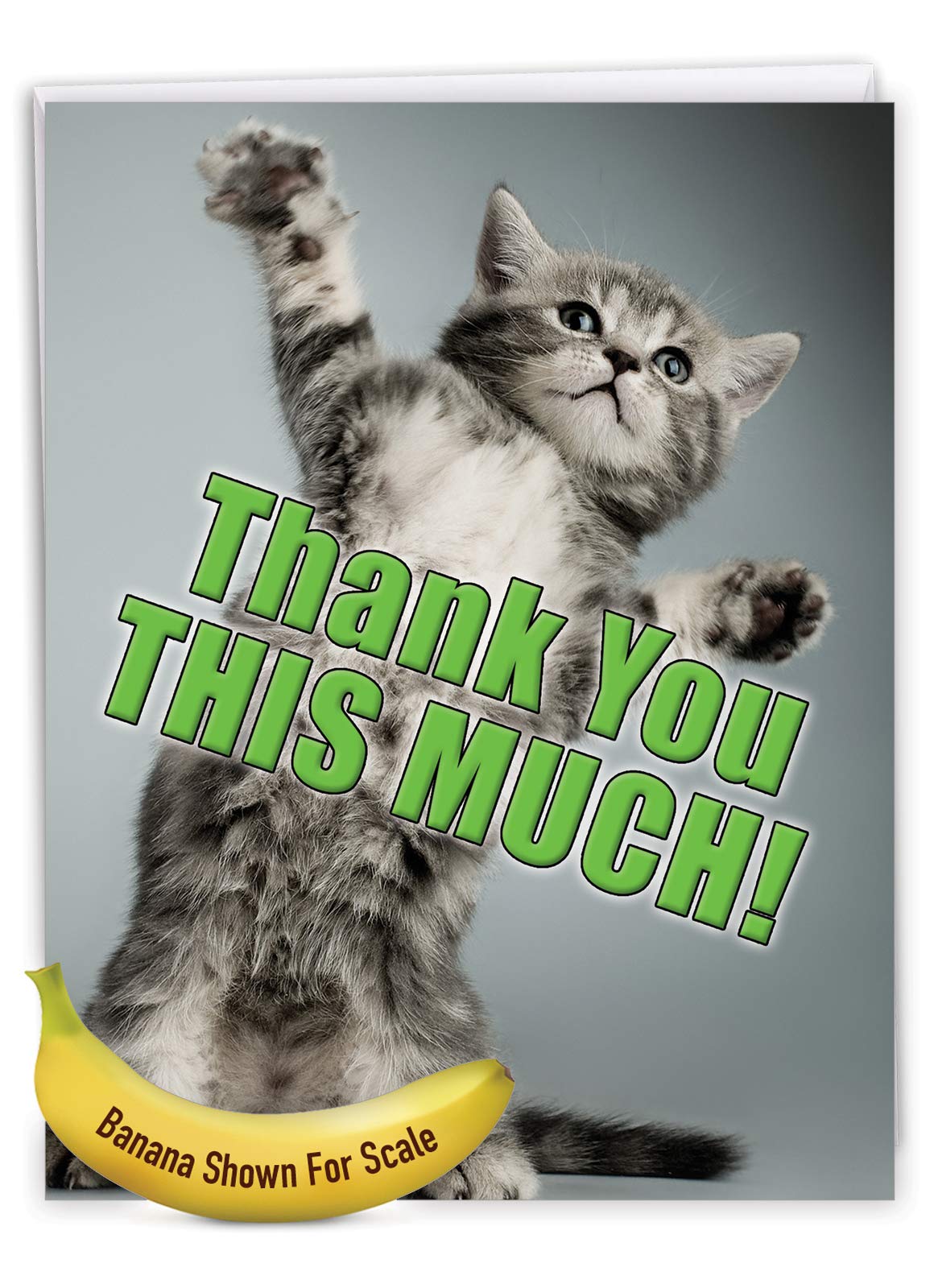 NobleWorks - Jumbo Thank You Card with Envelope (8.5 x 11 Inch), Animal Notecard, Thankful Friend - This Much Kitten J3612