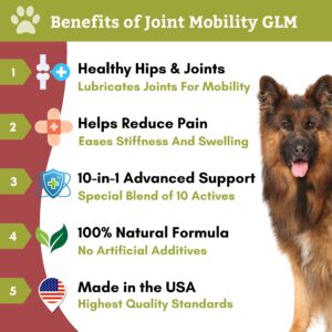 Wholistic Pet Organics Joint Mobility GLM: Dog Joint Health Supplement Glucosamine Chondroitin for Dogs Arthritis Pain Relief Hip and Joint Support Green Lipped Mussels for Dogs Large Breed