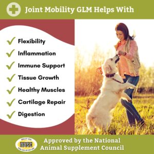 Wholistic Pet Organics Joint Mobility GLM: Dog Joint Health Supplement Glucosamine Chondroitin for Dogs Arthritis Pain Relief Hip and Joint Support Green Lipped Mussels for Dogs Large Breed