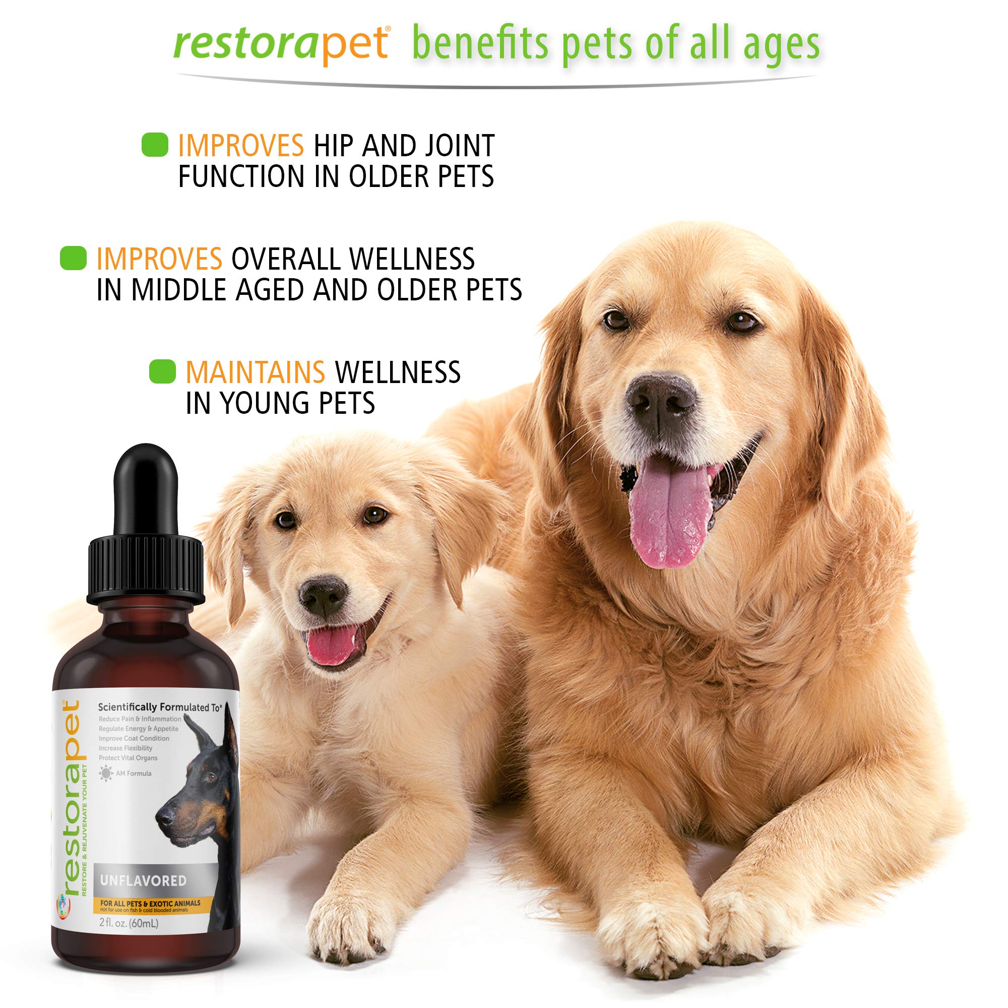 RestoraPet 1-Pack Dog & Cat Beef Liquid Multivitamin | Dog Arthritis Pain Relief | Hip & Joint Vitamins for Dogs - Anti Inflammatory Supplement for Dogs & Cats | Organic & Non-GMO, Vet Approved