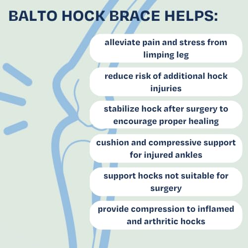 Balto Canine & Feline Hock Brace – Dog Ankle Brace - Brace with Aluminum Splints – Pre/Post Surgery Helps Support Arthritis and Unstable Joints – Back Leg Support (Extra Small)