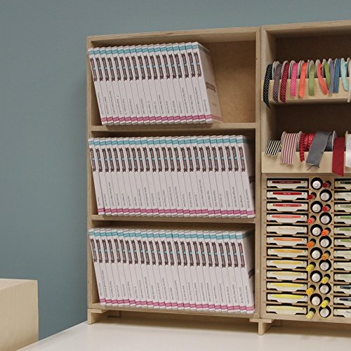 Stamp-n-Storage Shelf Unit - Mega Stamp Case Shelf with Back - Wall Mount