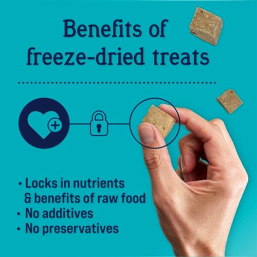 Stewart Single Ingredient Freeze Dried Raw Dog Treats, Beef Liver, 12 Ounce Resealable Tub, Training Treats or Meal Topper Dogs, High Protein, Grain Free, Gluten Free