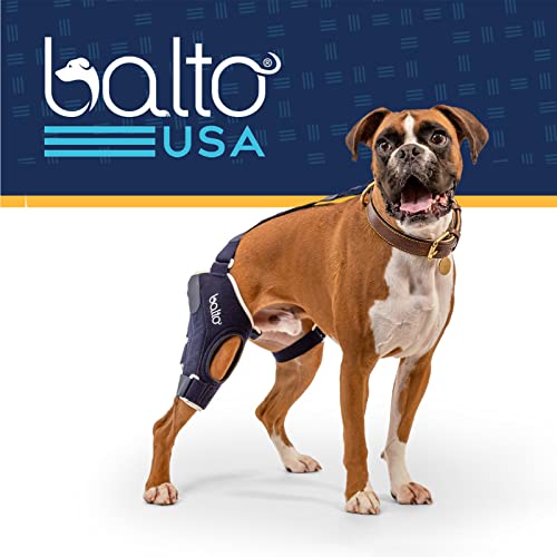 Balto Jump CCL Brace – Dog Knee Brace – Brace with Aluminum Splints – Pre/Post Surgery Support Helps Prevent New Injuries (Right Leg, X-Large)